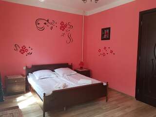 Гостевой дом Lia&Ramaz Guest House Степанцминда Двухместный номер с 1 кроватью и общей ванной комнатой-1